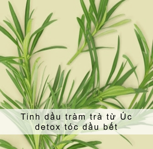 Picture of Sữa tắm detox sạch sâu Love Beauty And Planet 400ml