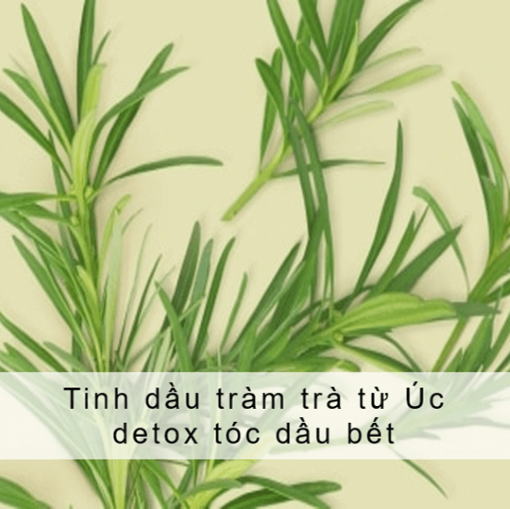 Picture of Dầu xả Love Beauty And Planet Detox Sạch Sâu 400ml