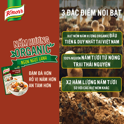 Picture of Hạt nêm Knorr Chay Nấm Hương Organic Gói 170g