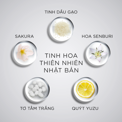 Picture of Dầu xả Michiru Ngăn Gãy Rụng 95% & Làm Dày Tóc Dành Cho Da Đầu Thường và Khô 180g