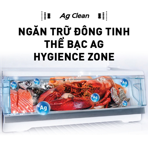 Picture of Tủ lạnh Panasonic 306l - NR-TV341BPS9